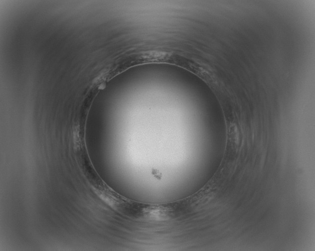 X0000054380564200508121609
