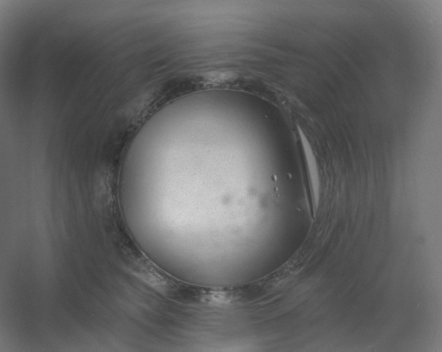 X0000054380565200508121609