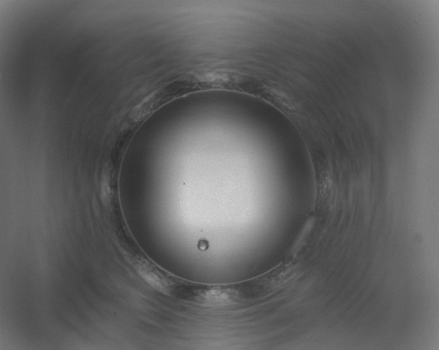 X0000054380566200508121609