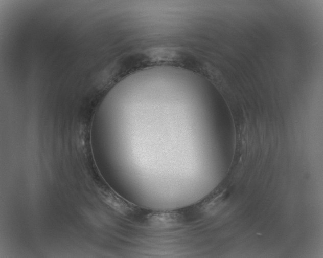 X0000054380567200508121609