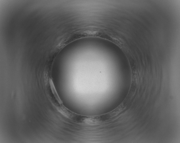 X0000054380568200508121609