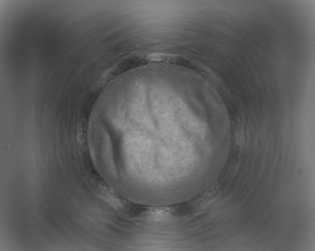 X0000054380569200508121609