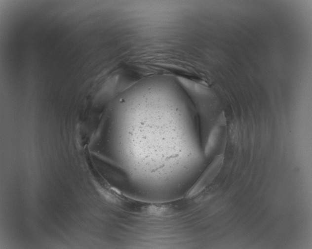 X0000054380570200508121609
