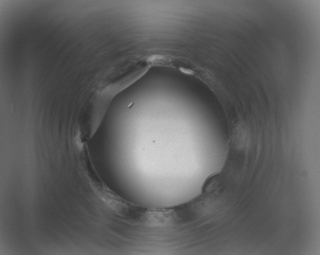 X0000054380571200508121609