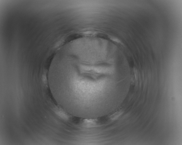 X0000054380573200508121609