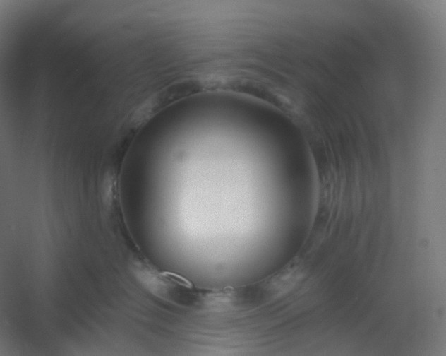 X0000054380574200508121609