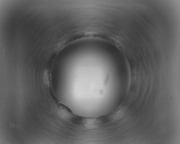 X0000054380575200508121609