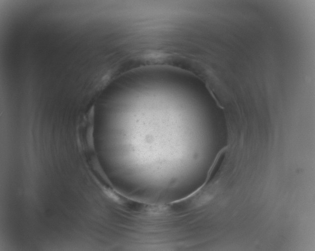 X0000054380576200508121609