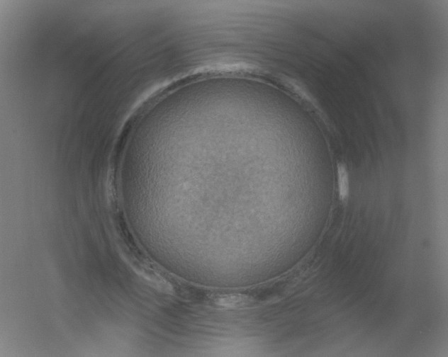 X0000054380579200508121609