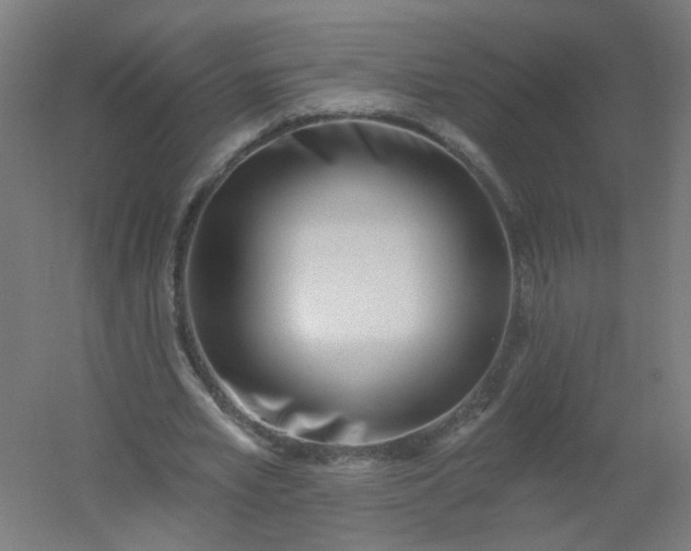 X0000054380581200508121609