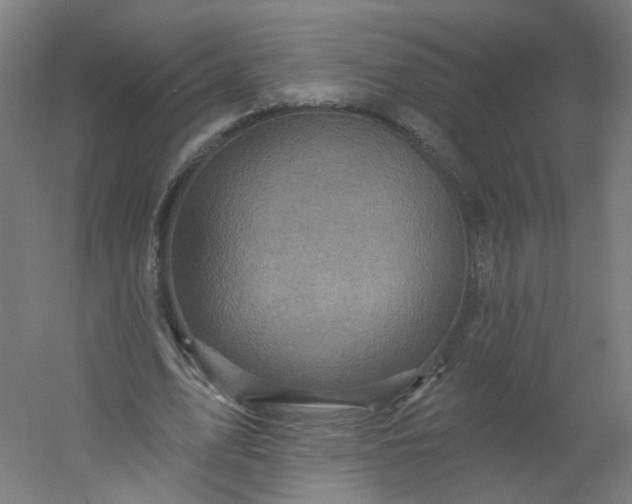 X0000054380583200508121609