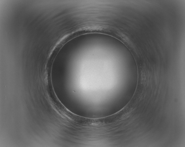 X0000054380584200508121609