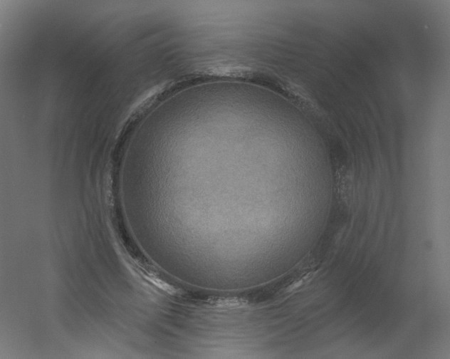X0000054380587200508121609