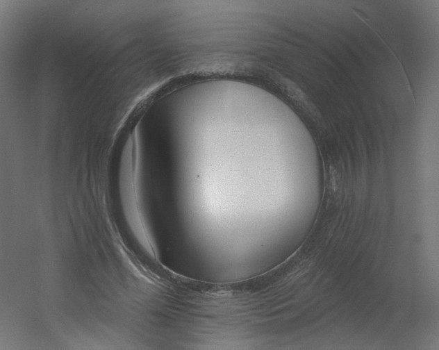 X0000054380588200508121608