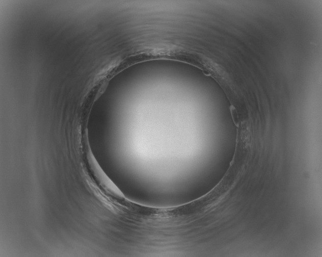 X0000054380589200508121608
