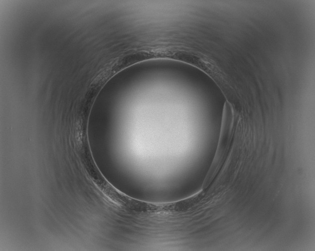 X0000054380593200508121608