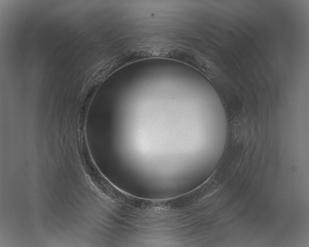 X0000054380594200508121608