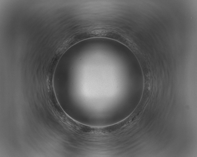 X0000054380597200508121608