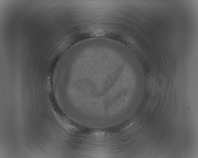 X0000054380598200508121608