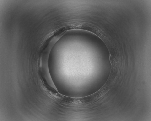 X0000054380600200508121608