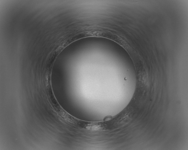X0000054380602200508121608