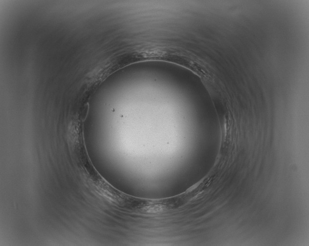 X0000054380604200508121608