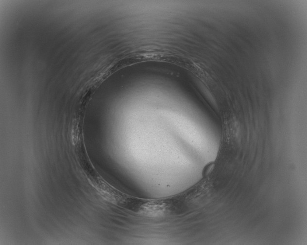 X0000054380606200508121608