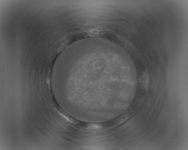 X0000054380610200508121608
