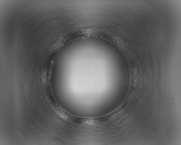 X0000054380611200508121608