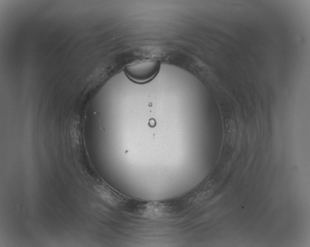 X0000054380612200508121608