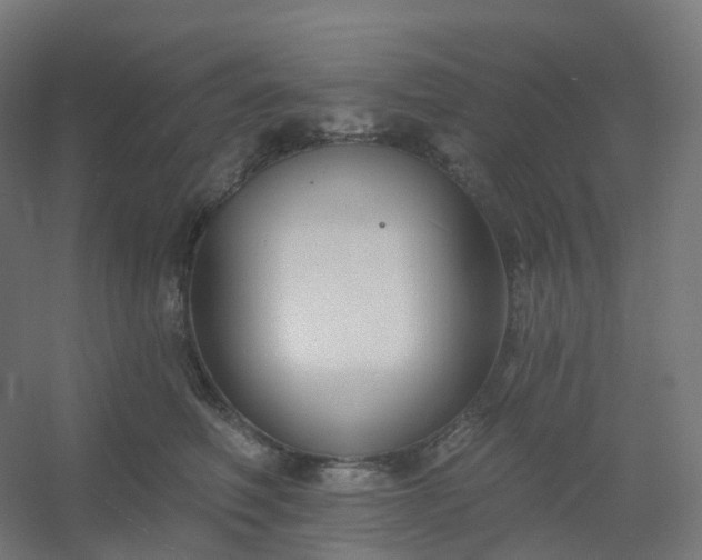 X0000054380614200508121608