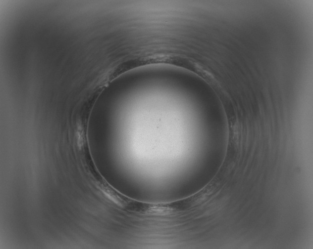 X0000054380617200508121608
