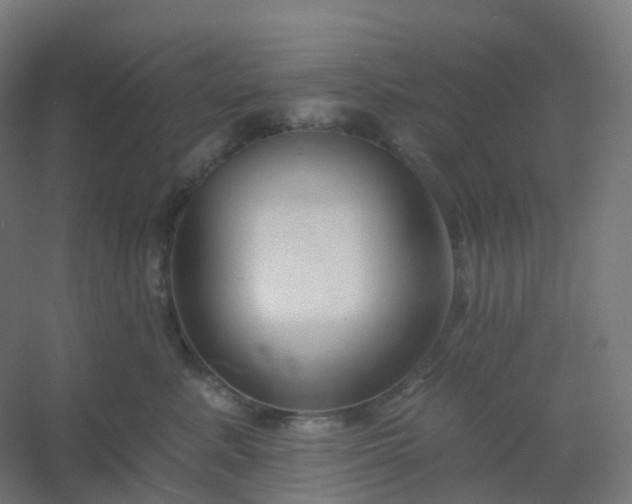 X0000054380619200508121608