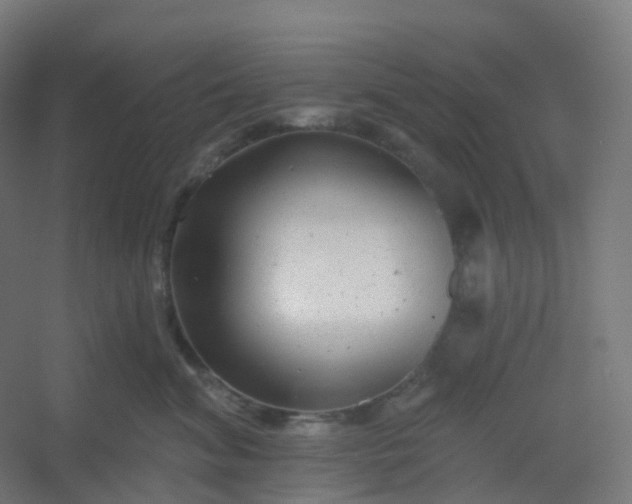 X0000054380620200508121608