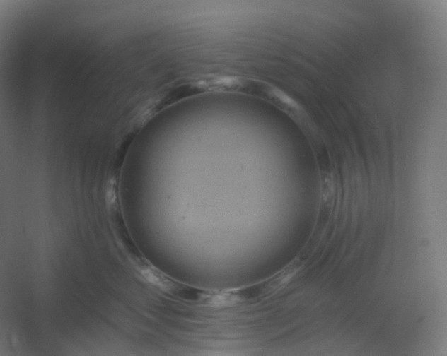 X0000054380621200508121608