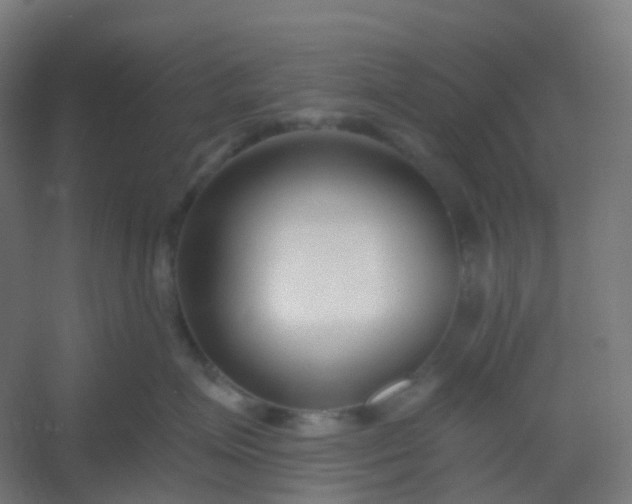 X0000054380623200508121608