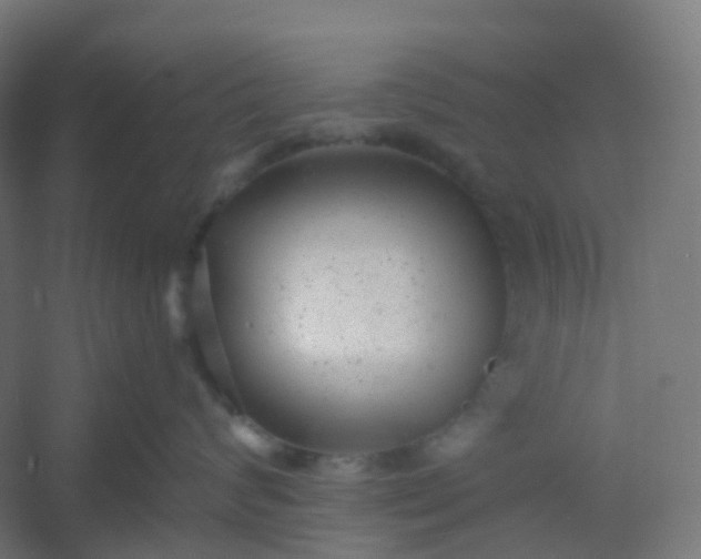 X0000054380624200508121608