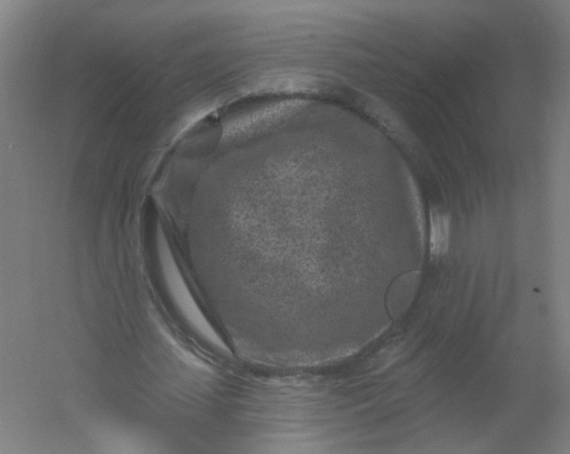 X0000054380627200508121607