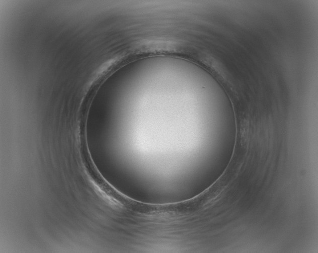 X0000054380629200508121607