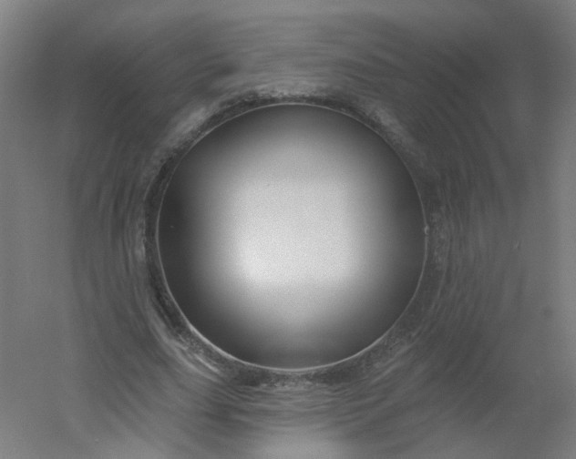 X0000054380631200508121607