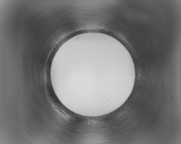 X0000054380632200508121607
