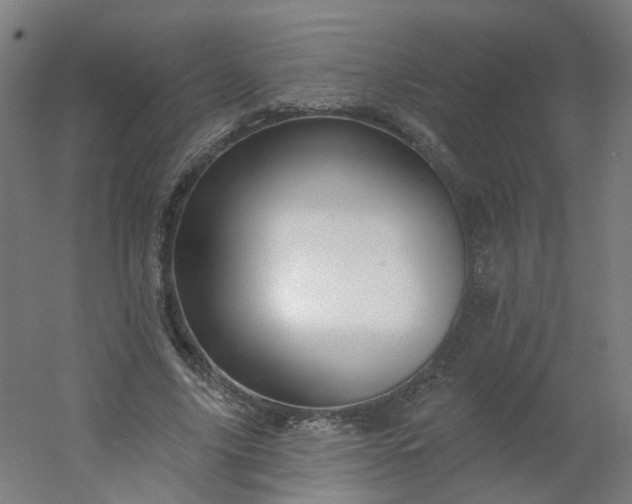 X0000054380635200508121607