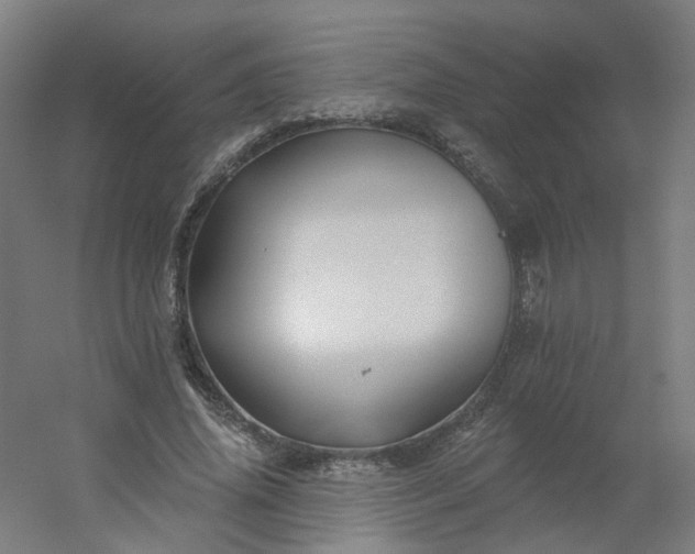 X0000054380636200508121607
