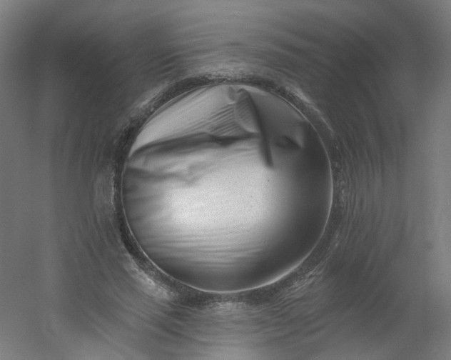 X0000054380637200508121607