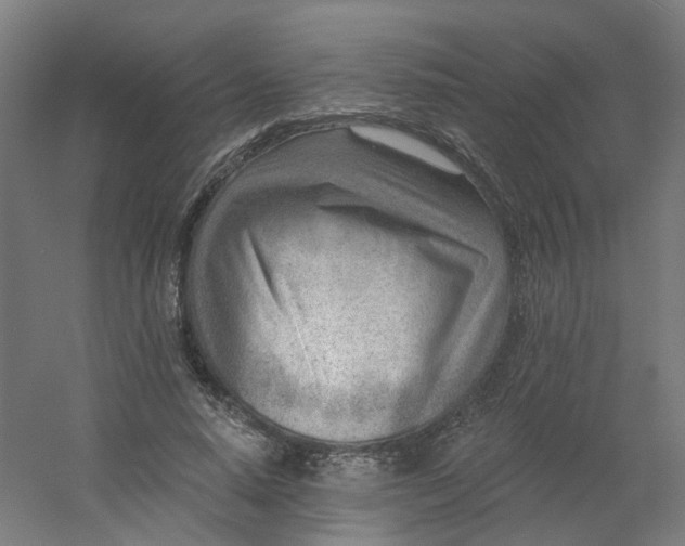 X0000054380640200508121607