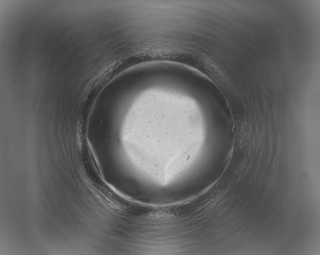 X0000054380644200508121607