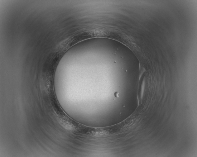 X0000054380645200508121607