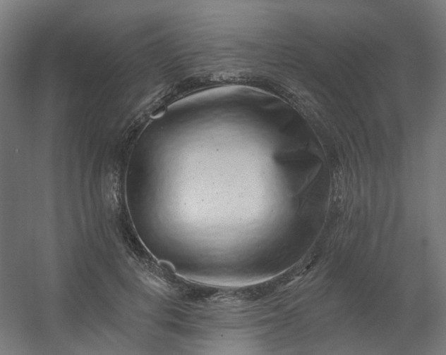 X0000054380648200508121607