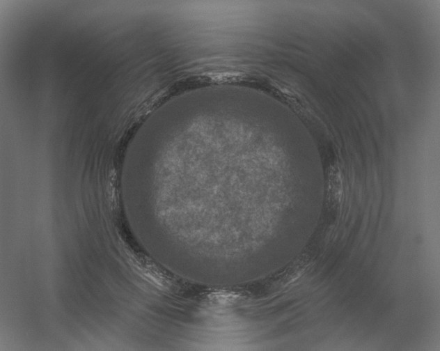 X0000054380650200508121607