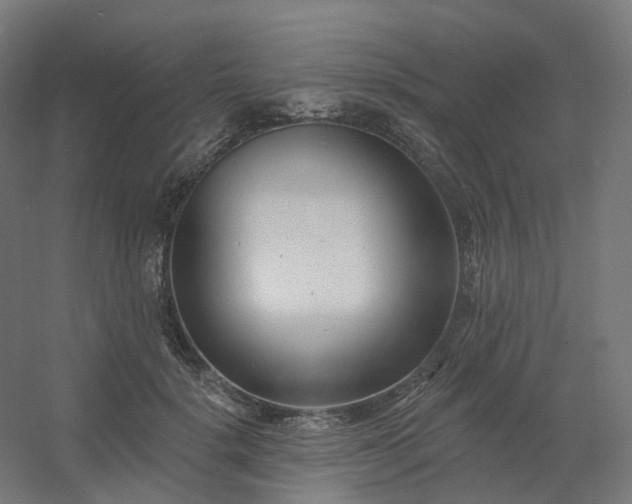 X0000054380652200508121608